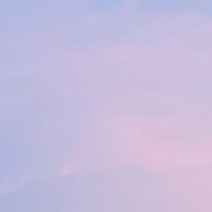 Meet your Posher, Bonnie